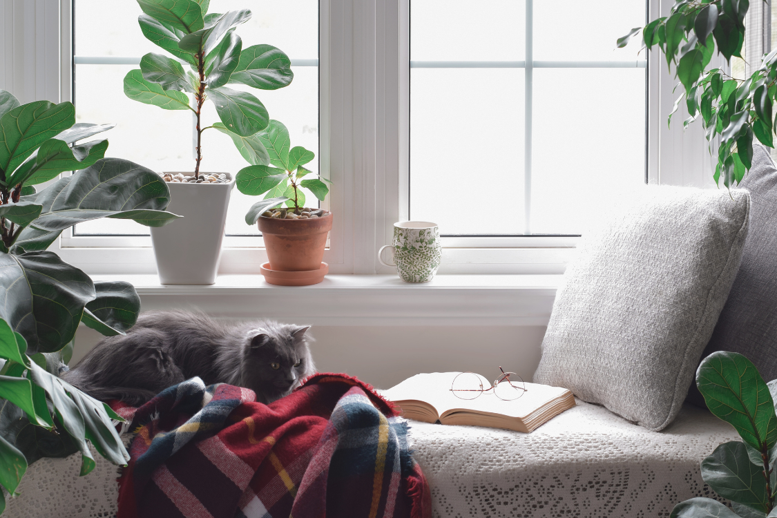 home reading nook