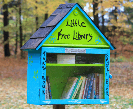 Discover how Little Free Libraries work and how these charming book-sharing boxes can help your family build a love of reading. Tips for using and starting your own library are included.
