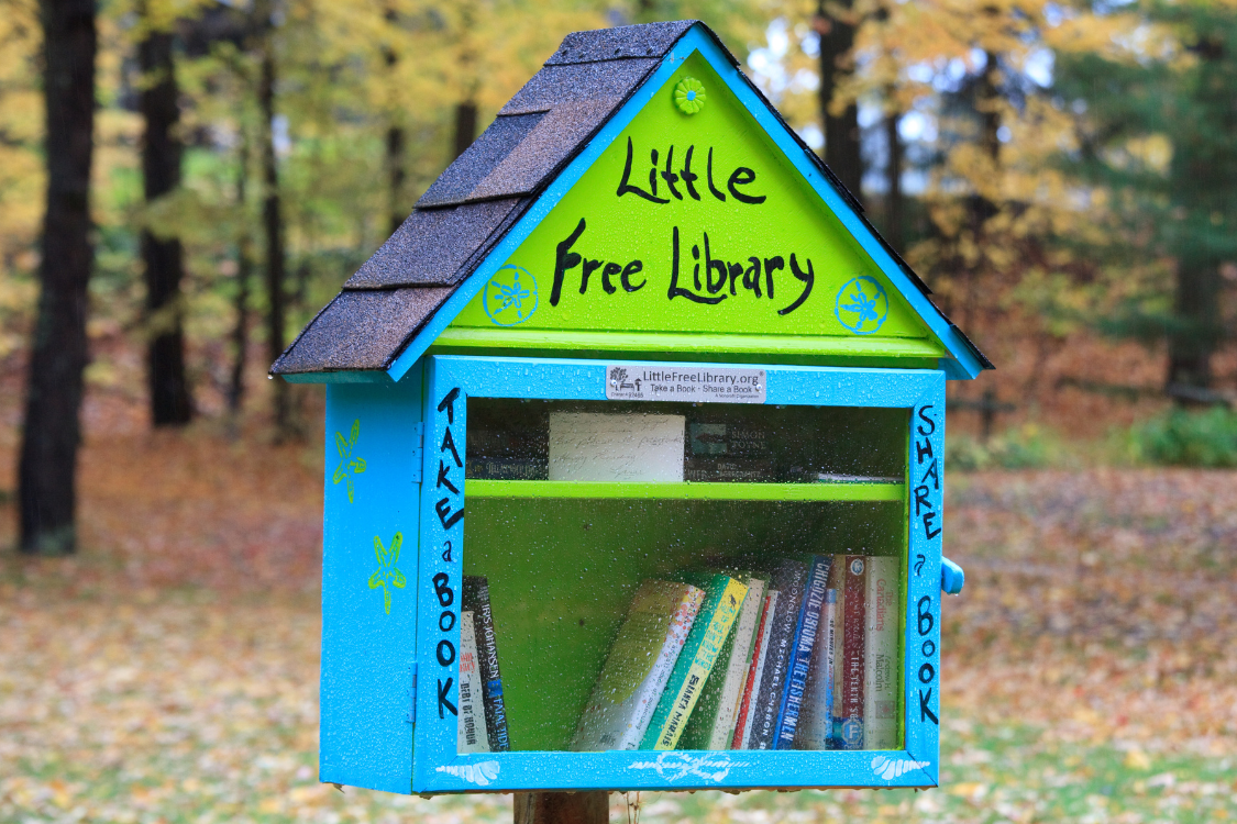 Discover how Little Free Libraries work and how these charming book-sharing boxes can help your family build a love of reading. Tips for using and starting your own library are included.